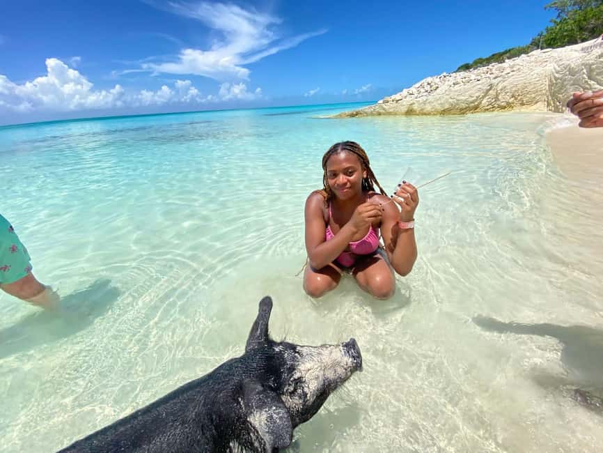 Nassau: 3 Islands Tour, Snorkel, Pig Beach, Turtles & Lunch - Getting to the Meeting Point and Knowing the Pace
