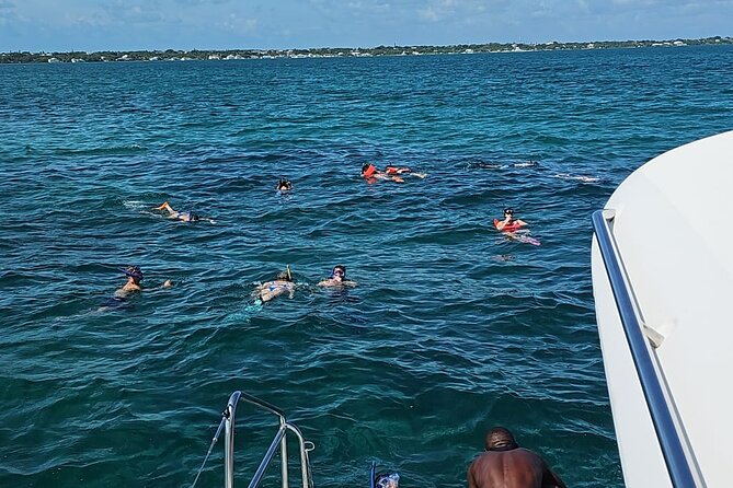 Nassau 3-stops: Snorkeling, Swimming Pigs, Turtles & Lunch - Getting to Montagu Beach, then settling in for the full day rhythm