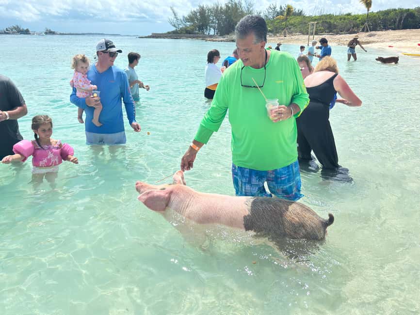 Nassau: 4-Island Tour Swimming Pigs, turtles, snorkeling - Key highlights you will care about