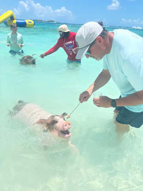 Nassau: 4-Island Tour Swimming Pigs, turtles, snorkeling - Why This Nassau 4-Island Swim Day Feels Different