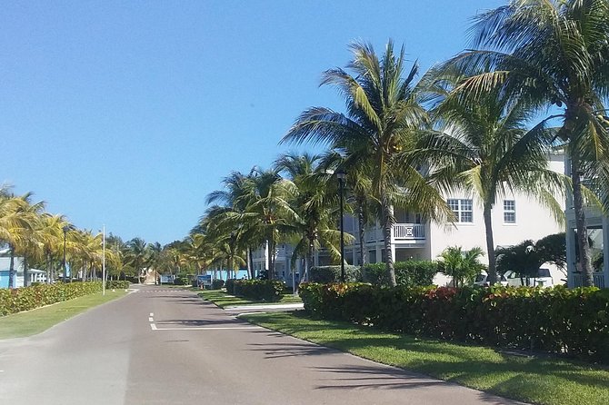 Nassau Airport to Palm Cay - group transportation in comfort - Why this Nassau to Palm Cay transfer feels easier than DIY