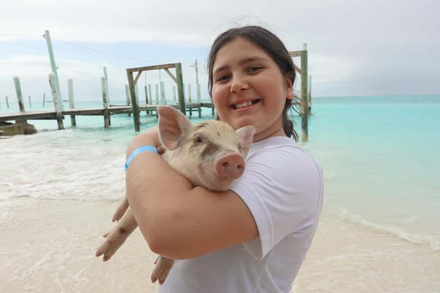 Nassau ATV & Swimming Pigs Tour - How the day flows: ride Nassau, then switch to island mode