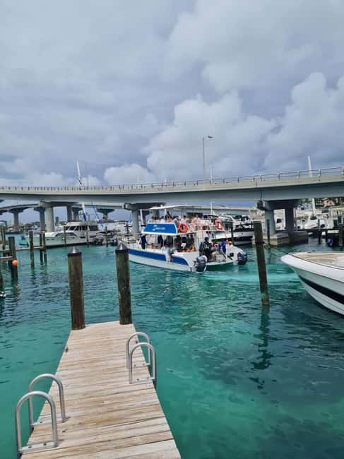 Nassau ATV & Swimming Pigs Tour - Rum Cake Factory tasting: the sweet stop that fits the tour’s rhythm