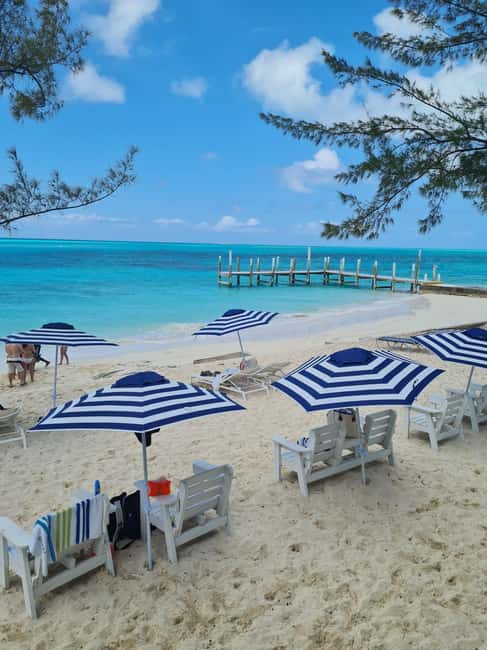 Nassau ATV & Swimming Pigs Tour - The New Duff: guava duff and a first-hand taste of a classic dessert