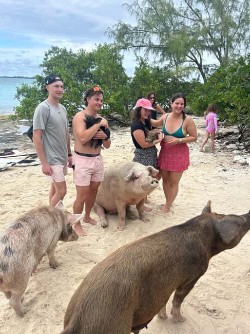 Nassau Bahamas: Jetcar Excursion to Pig Island Tour $450 - Jetcar meets Pig Island: what makes this Nassau experience work