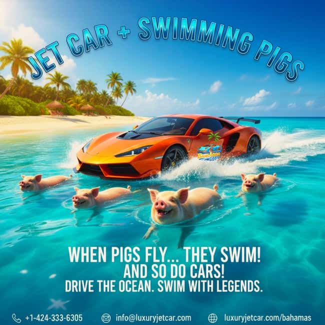 Nassau Bahamas: Jetcar Excursion to Pig Island Tour $450 - Meeting point on New Providence: Antiki Floating Bar and the park behind the courts