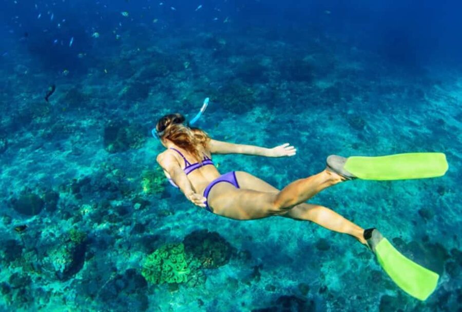 Nassau: Catamaran Sail and Snorkel Tour - Entering The Tour: Where You Start on Paradise Island