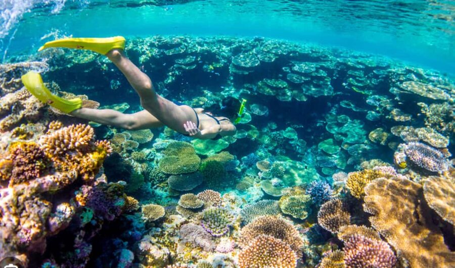 Nassau: Catamaran Sail and Snorkel Tour - Practical Tips That Make a Big Difference