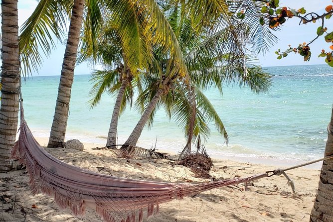 Nassau City Tour: 7 Attractions in the Bahamas - Stop 5: Fort Fincastle and the Water Tower viewpoint