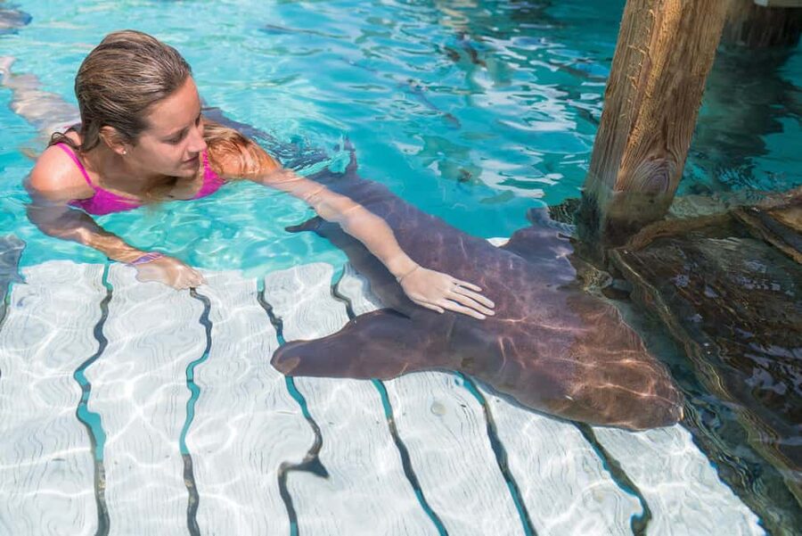 Nassau: Discover Exuma Island Hopping and Swimming Pigs Tour - Exuma island hopping from Paradise Island, and why it works as a full day