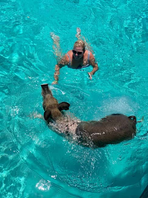 Nassau: Discover Exuma Island Hopping and Swimming Pigs Tour - Big Major’s Cay swimming pigs: feeding, photos, and the real fun