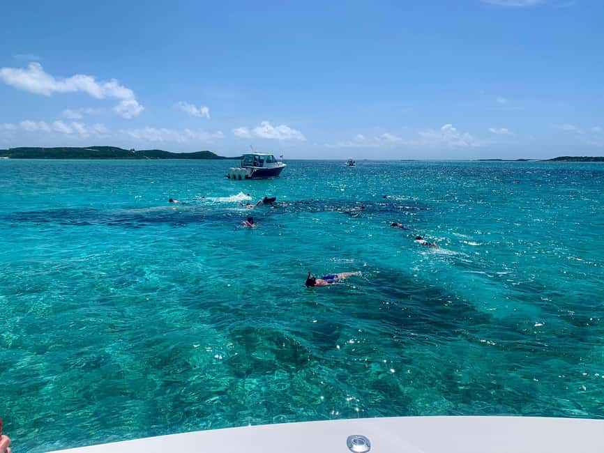 Nassau: Discover Exuma Island Hopping and Swimming Pigs Tour - Lunch at an Exuma restaurant: what’s included and how it keeps the day enjoyable