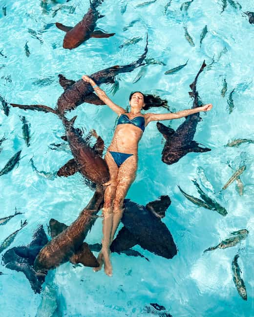 Nassau: Discover Exuma Island Hopping and Swimming Pigs Tour - Pablo Escobar’s sunken plane wreck: snorkeling a story made of metal and coral