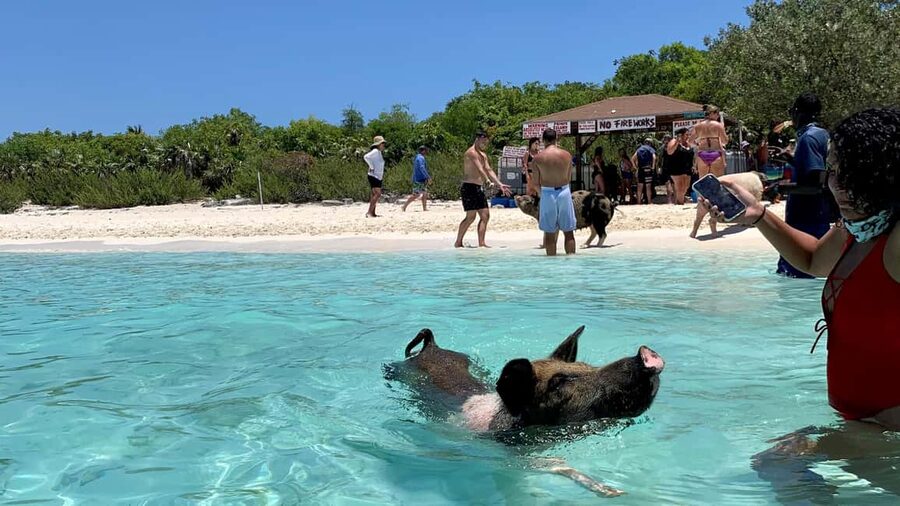Nassau: Discover Exuma Island Hopping and Swimming Pigs Tour - Final swim and beach time on Exuma: sand, photos, and a chance to slow down