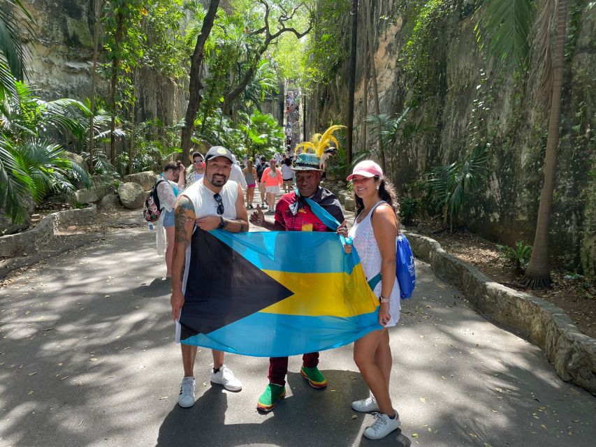 Nassau: E-Scooter Tour with Food Tasting and Local Drinks - Tasty Teas Bahamas: a break from heavy sweets and spirits