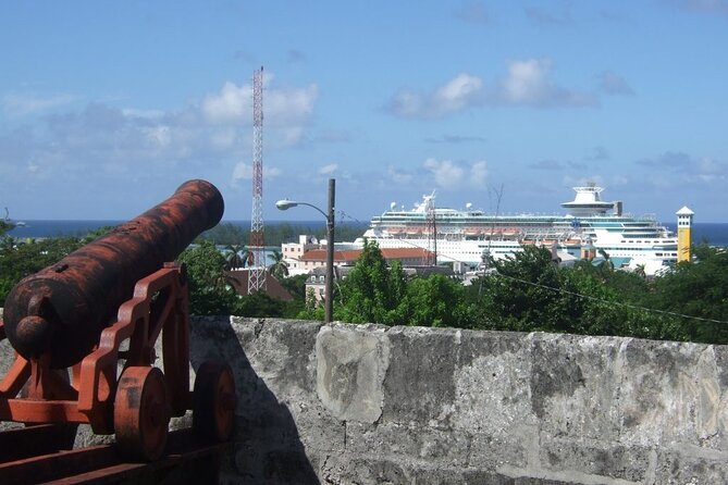 Nassau Family Friendly City Tour - Arawak Cay Fish Fry Conch Show: the local meal-style finale
