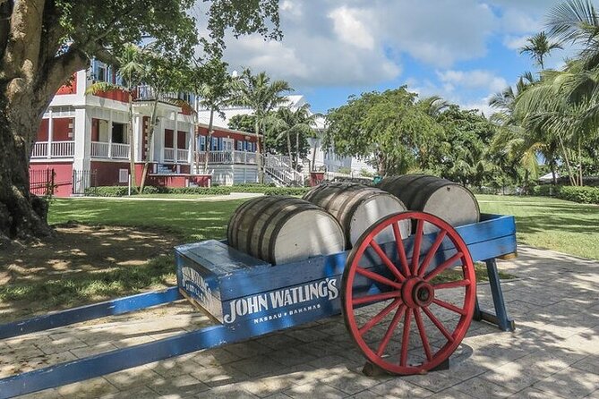 Nassau Family Friendly City Tour - Pickup, small-group pacing, and what “family-friendly” feels like