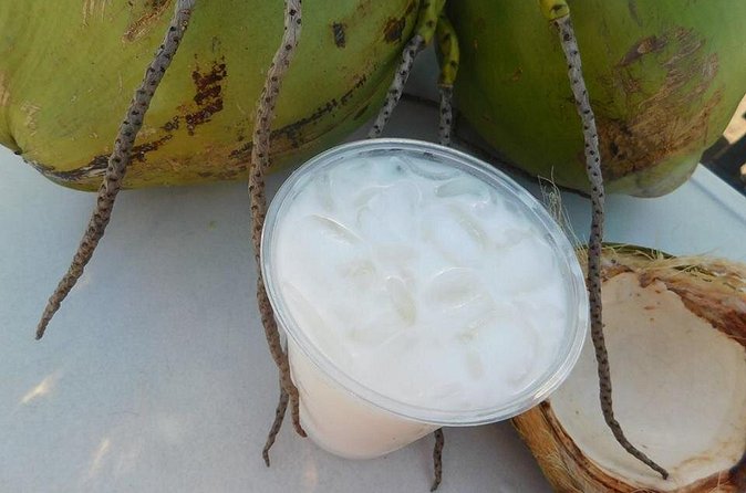 Nassau Food and History Bus Tour - Guide energy, group size, and practical comfort tips
