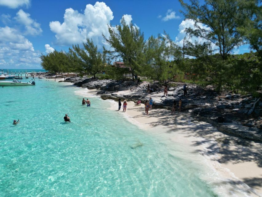 Nassau: Half-Day Guided Cay Cruise, Sea Life Watch & Snorkel - Blue Lagoon Island, dolphins, and the no-contact rule you need to know