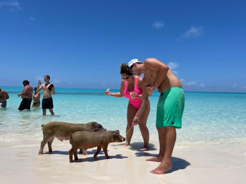 Nassau: Half-Day Guided Cay Cruise, Sea Life Watch & Snorkel - Rose Island beach break and the last easy swim