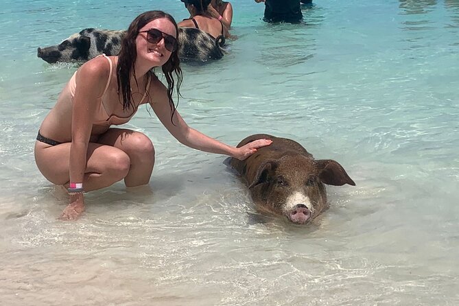 Nassau: Half Day Reef Snorkeling, Turtles & Swimming Pigs - Key highlights at a glance
