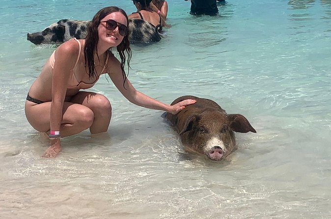 Nassau: Half Day Reef Snorkeling, Turtles & Swimming Pigs - Weather and what to do if conditions change