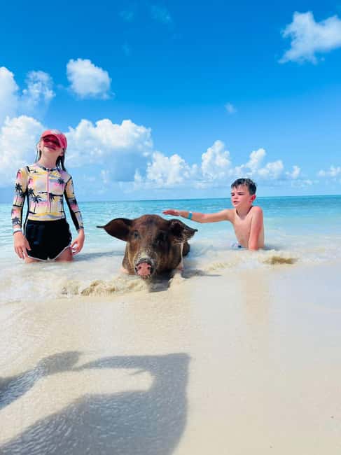 Nassau: Half-Day Swimming Pigs, Reef Snorkel & Beach Club - Key Points Worth Knowing Before You Go