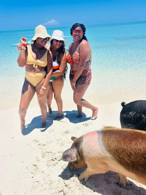 Nassau: Half-Day Swimming Pigs, Reef Snorkel & Beach Club - Who This Tour Fits Best (And Who Should Rethink It)