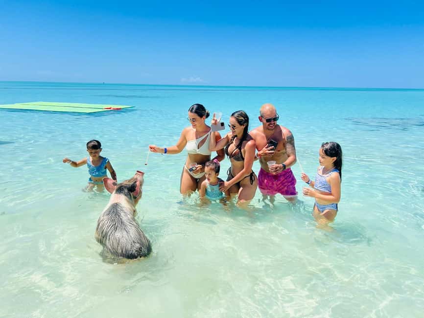 Nassau: Half-Day Swimming Pigs, Reef Snorkel & Beach Club - Half-Day Nassau That Still Feels Like an Island Day