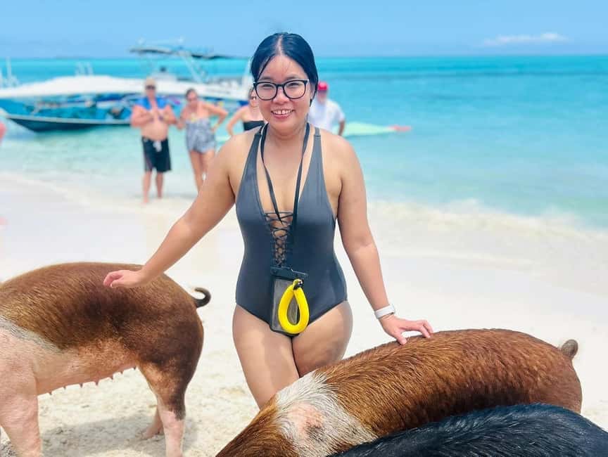 Nassau: Half-Day Swimming Pigs, Reef Snorkel & Beach Club - The Start at Da Pig Beach: Quick Briefing, Then Out to Water
