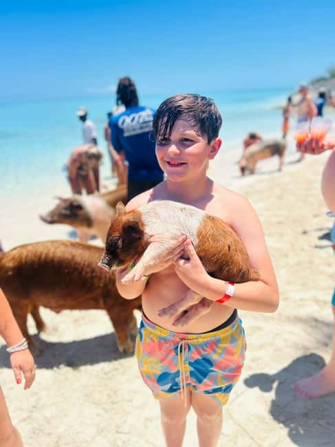 Nassau: Half-Day Swimming Pigs, Reef Snorkel & Beach Club - Speedboat Island Hopping: Comfortable Rides Between Stops