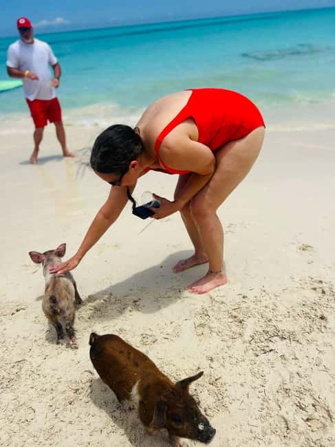 Nassau: Half-Day Swimming Pigs, Reef Snorkel & Beach Club - Rose Island: Pigs, Beach Club Time, and a Short Slice of Paradise