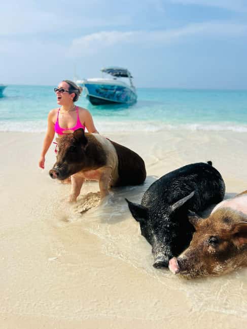 Nassau: Half-Day Swimming Pigs, Reef Snorkel & Beach Club - Price and Logistics: What $189 Buys You in Real Terms