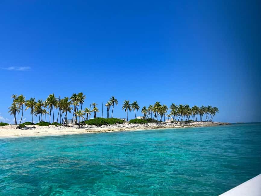 Nassau: Island Hopping Boat Trip with Lunch & Drinks - Pig Beach: The Stop Most People Talk About