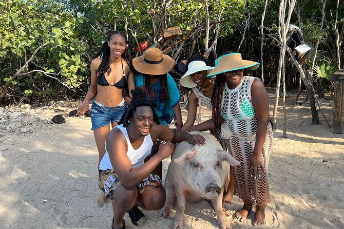 Nassau Optional Cay Hopping Tour on Rose and Pearl Island plus - Harbourside Atlantis sightseeing: sharks, celebrity homes, and getting oriented