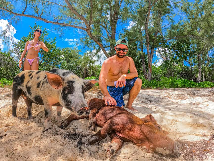 Nassau: Pigs Beach Trip by Boat with Swimming and Feeding - Price and value: is $79 a fair deal for Pig Beach plus two islands?