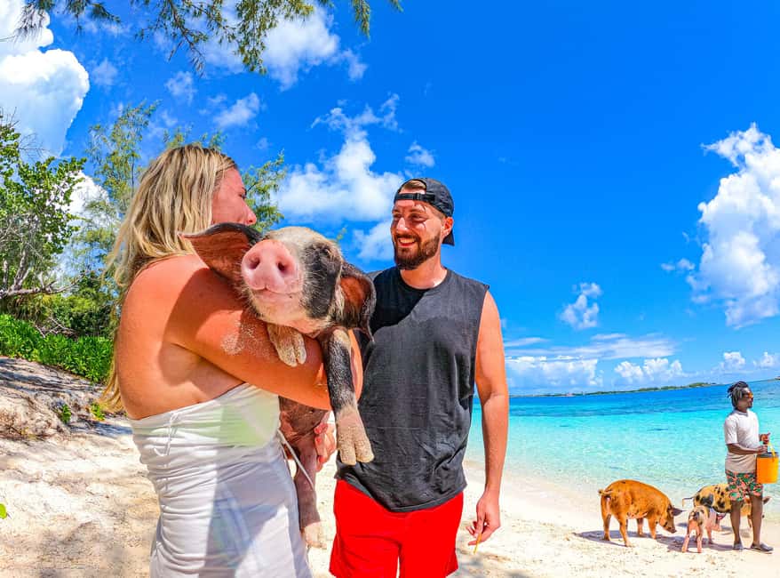 Nassau: Pigs Beach Trip by Boat with Swimming and Feeding - Safety and comfort: simple steps that make a difference