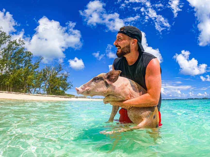 Nassau: Pigs Beach Trip by Boat with Swimming and Feeding - From Nassau Cruise Port to the marina: where you start matters