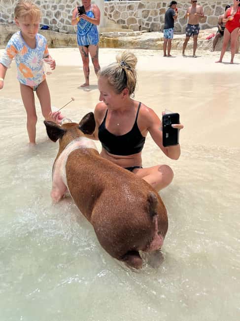 Nassau: Pigs, Snorkel, Turtles, Lunch, Private Beach Club - Snorkeling the reef between Pearl Island and Rose Island