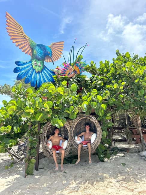 Nassau: Pigs, Snorkel, Turtles, Lunch, Private Beach Club - Pigs on the beach: the fun part, the rules part
