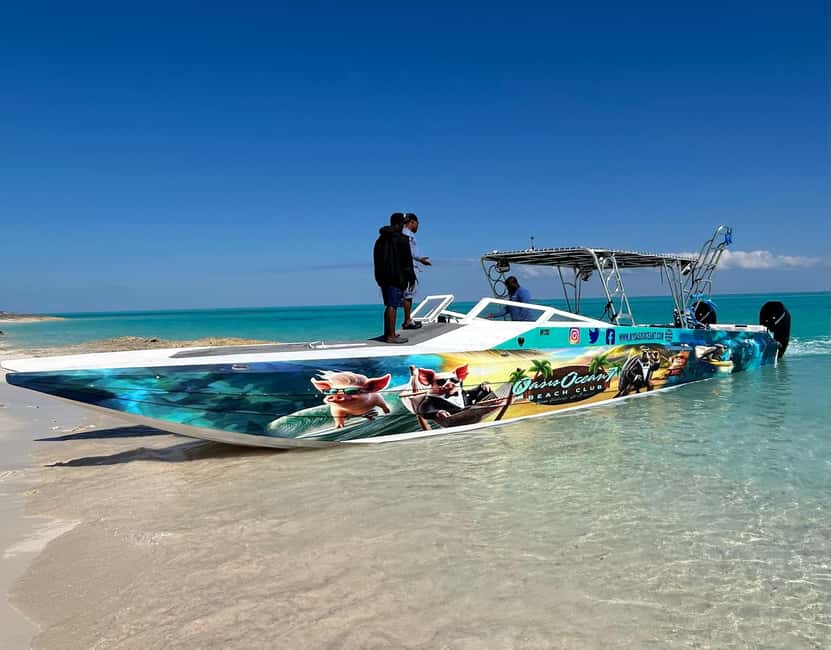 Nassau: Pigs, Snorkel, Turtles, Lunch, Private Beach Club - Lunch, soft drinks, and what your money actually buys