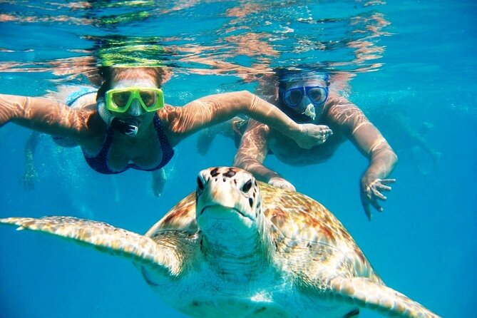 Nassau: Private Island & Snorkeling, Turtles, Drinks, & BBQ - Key things you should know before you go