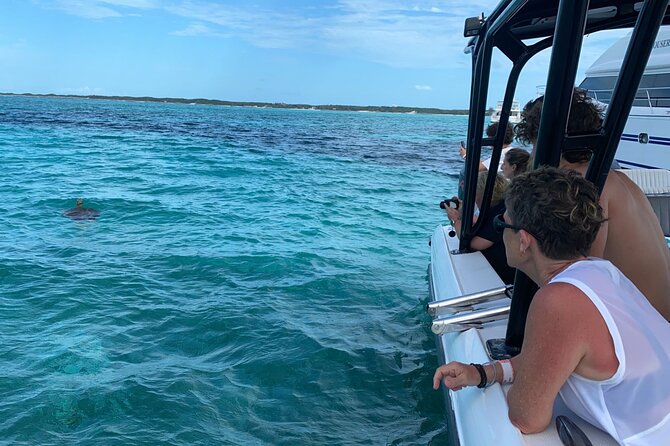Nassau: Private Island & Snorkeling, Turtles, Drinks, & BBQ - First snorkeling stop at Pearl Island: short water time, clear payoff