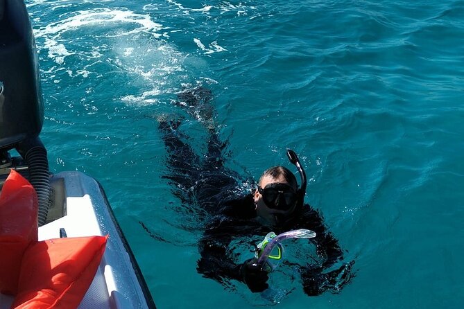 Nassau: Private Island & Snorkeling, Turtles, Drinks, & BBQ - Boat-day tips: what I’d pack and how I’d plan the day