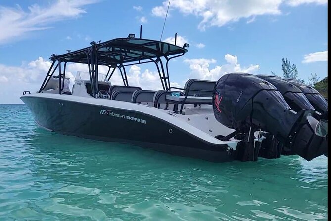 Nassau: Private Island & Snorkeling, Turtles, Drinks, & BBQ - Who this tour suits best (and who might be disappointed)