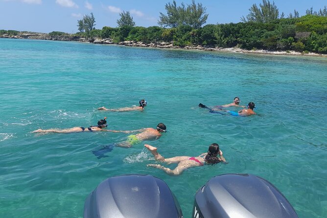 Nassau, Private Swimming Pig, Island Hopping, Snorkeling, Turtles - Price, group size, and value versus big-boat tours
