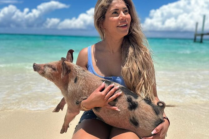 Nassau, Private Swimming Pig, Island Hopping, Snorkeling, Turtles - From Elizabeth on Bay to the first cays: a simple route