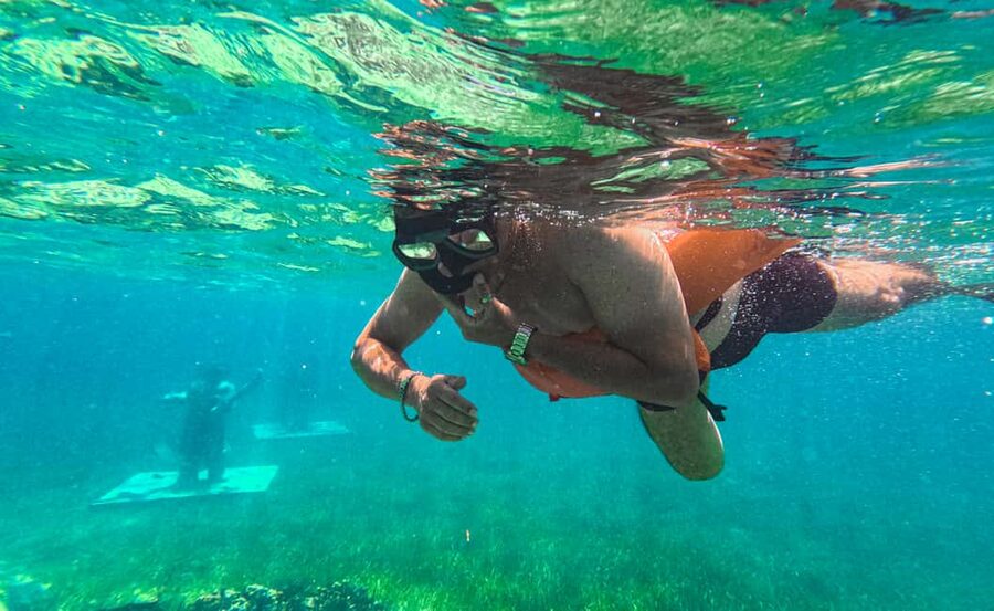 Nassau: Reef Glass Bottom & Snorkel Tour - Glass-Bottom Boat, Sea Garden Park, and Why This Works in Nassau