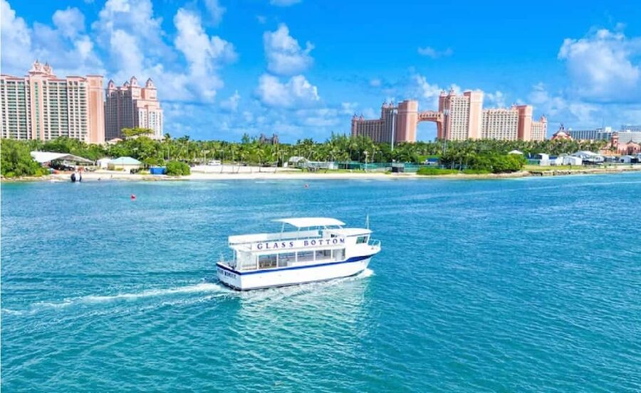 Nassau: Reef Glass Bottom & Snorkel Tour - Sea Garden National Park: Feeding Fish and Watching Underwater Behavior