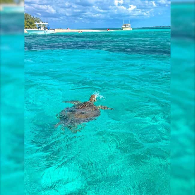 Nassau: Rose 3-Island Tour with Snorkeling and Lunch - Atlantis Bahamas: a photo stop that sets the scene